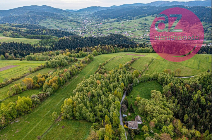 Działka Sprzedaż Mszalnica 4