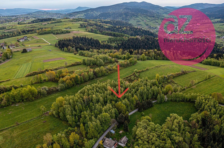 Działka Sprzedaż Mszalnica 2