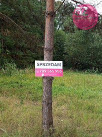 Działka Sprzedaż Łużna