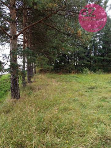 Działka Sprzedaż Łużna 2