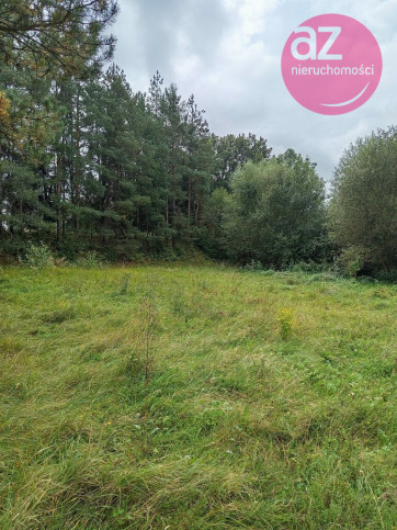 Działka Sprzedaż Łużna 3