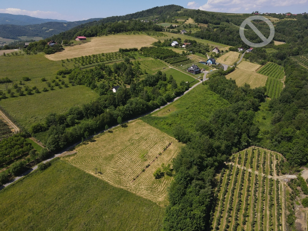 Działka Sprzedaż Czerniec