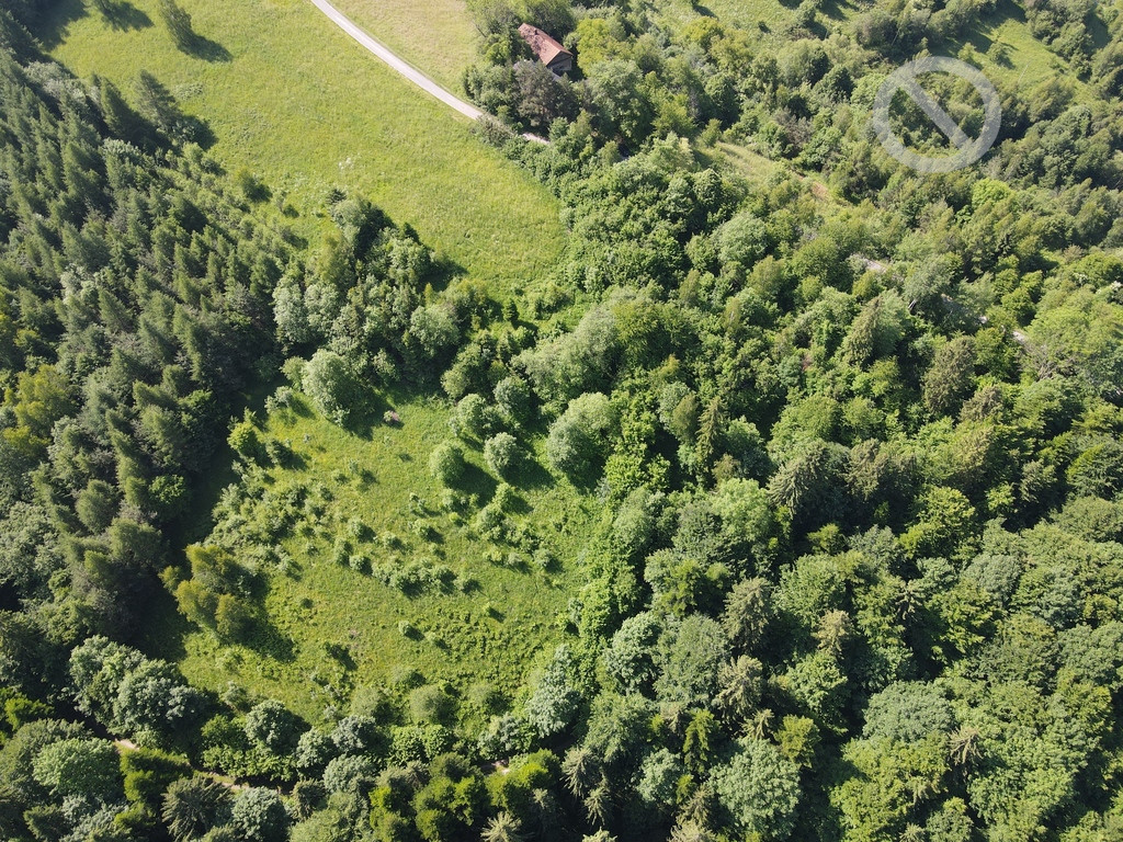 Działka Sprzedaż Zarzecze